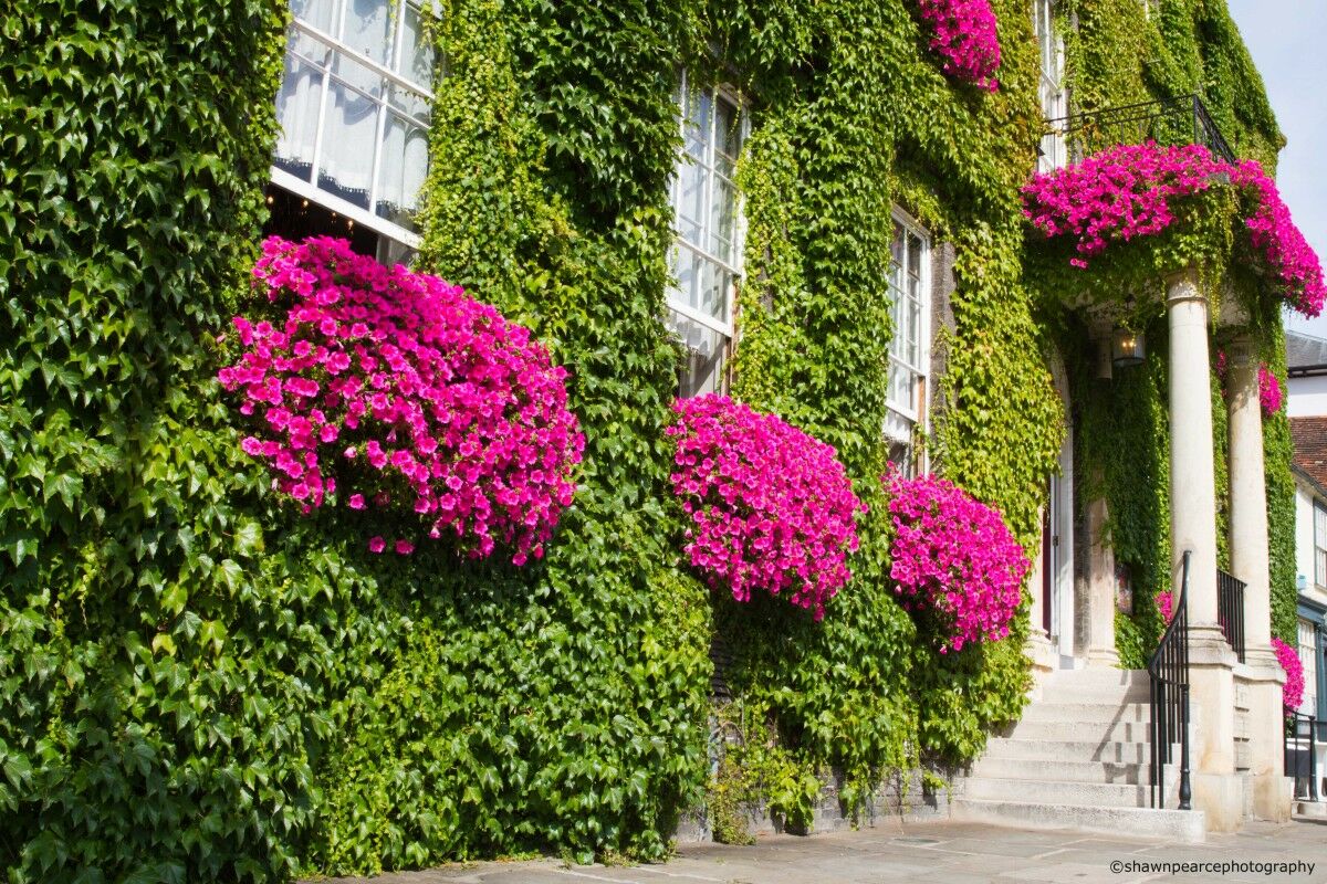 Angel Hotel Bury St. Edmunds Экстерьер фото